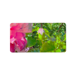 ADRESSE ETIKETTEN COOL ECO STYLE ESIGN ADRESSAUFKLEBER