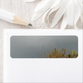 ADRESSE ETIKETTIEREN KUNST UND DESIGN (Insitu)