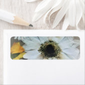 ADRESSE ETIKETTIEREN KUNST UND DESIGN (Insitu)