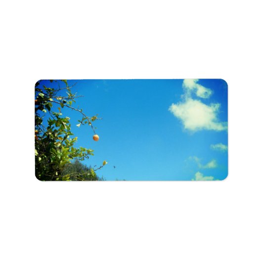 ADRESSE ETIKETTIEREN KUNST UND DESIGN ADRESSAUFKLEBER (Vorne)