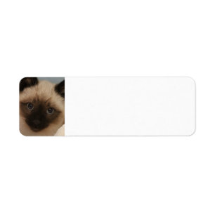 Adressen-Etiketten der siamesischen Katze