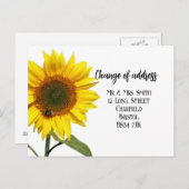 Adressenänderung Elegante Sonnenblumen Postkarte (Vorne/Hinten)