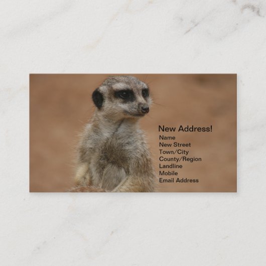 Adressenänderung Karten - Meerkats (Vorderseite)