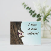 Adressenänderung mit Vogelhaus-Postkarte Ankündigungspostkarte (Stehend Vorderseite)