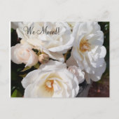 Adressenänderung Romantic Rose Postkarte (Vorderseite)