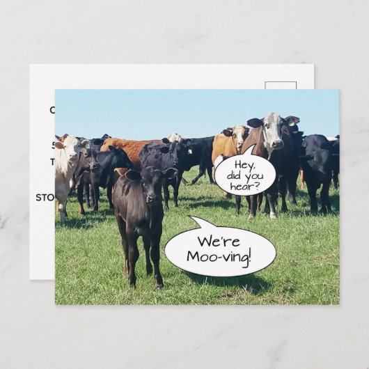 Adressenänderung Wir sind mooving Postkarte (Vorne/Hinten)