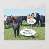 Adressenänderung Wir sind mooving Postkarte (Vorderseite)