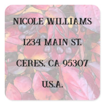 Adressenaufkleber für Chokekerinen - Aufkleber für