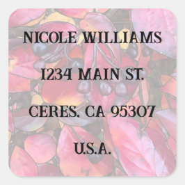 Adressenaufkleber für Chokekerinen - Aufkleber für