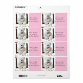 Adressenaufkleber Labels White Teddy Bären Floral (Vorne)