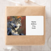 Adressenkennzeichnungen (Insitu)