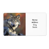 Adressenkennzeichnungen (Vorne)