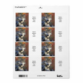 Adressenkennzeichnungen (Vorne)