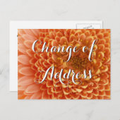 Adressenwechsel mit Blumenfotografie Ankündigungspostkarte (Vorne/Hinten)