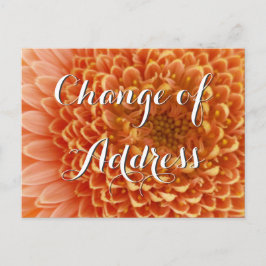 Adressenwechsel mit Blumenfotografie Ankündigungspostkarte
