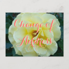 Adressenwechsel mit Rose Blume Foto Ankündigungspostkarte