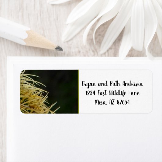 Adressetikett Cactus spikes (Insitu)