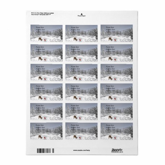 Adressetiketten (Vorne)