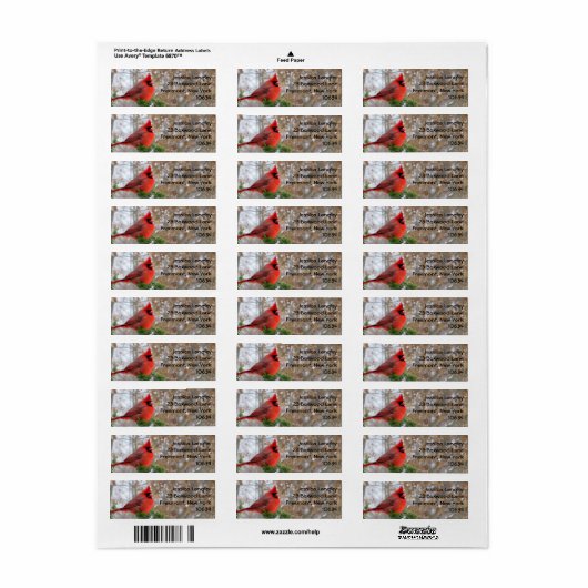 Adressetiketten für Weihnachtsfeiertage Kardinal (Vorne)