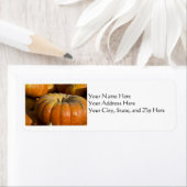 Adressfelder: Großer Pumpkin (Insitu)