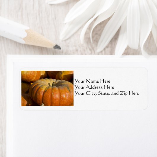 Adressfelder: Großer Pumpkin (Insitu)