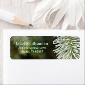 Adresskennzeichnung für potenzielle Pines (Insitu)