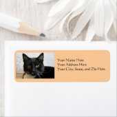 Adressmarken: Lilly the Cat (Insitu)