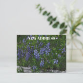 Adresswechsel der Lupinen Postkarte (Stehend Vorderseite)