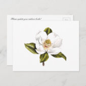 Adresswechsel Postkarten - Set von 25 (Vorne/Hinten)