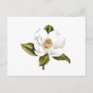 Adresswechsel Postkarten - Set von 25