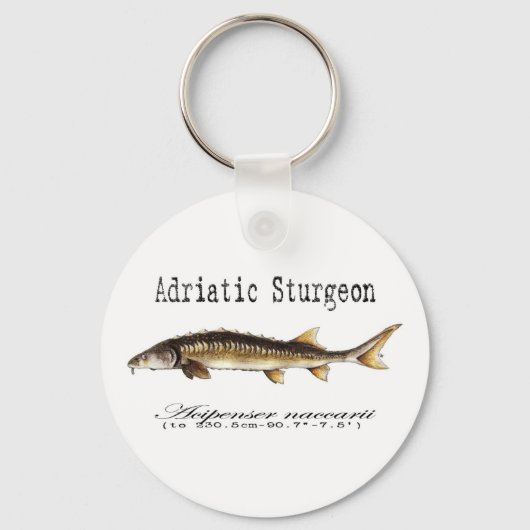 Adriatic Sturgeon Item Schlüsselanhänger (Vorderseite)