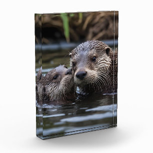 **"Adrift in Liebe: Mama und Baby Otter"*** Fotoblock