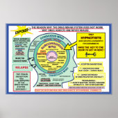 Adsul Solution Hypnosis Poster (Vorne)