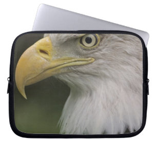 Adult Bald Eagle Portrait, Haliaeetus Laptopschutzhülle