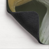 Adult Bald Eagle Portrait, Haliaeetus Mousepad (Ecke)