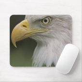 Adult Bald Eagle Portrait, Haliaeetus Mousepad (Mit Mouse)