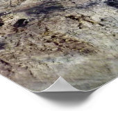 Adult Bearded Dragon Lizard Poster (Ecke)