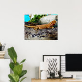 Adult Bearded Dragon Lizard Poster (Heimbüro)