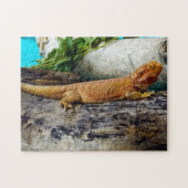 Adult Bearded Dragon Lizard Puzzle (Horizontal)