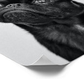 Adult Black Mops Poster (Ecke)