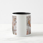 Adult Cedar Waxwing auf Schnee, Tasse (Zentrum)