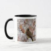 Adult Cedar Waxwing auf Schnee, Tasse (Links)