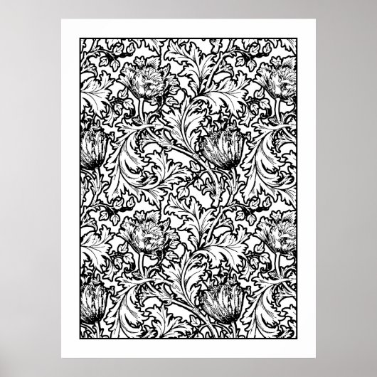 Adult Coloring Poster William Morris Anemone (Vorne)