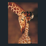 Adult Giraffe with calf (Giraffa camelopardalis) Poster<br><div class="desc">Adult Giraffe with calf (Giraffa camelopardalis).  Safari animals.  Mother and child.  Animal photography.  Wilderness.  Animals->Giraffe</div>