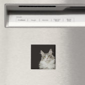Adult Maine Coon Cat Magnet (In Situ (Geschirrspüler))