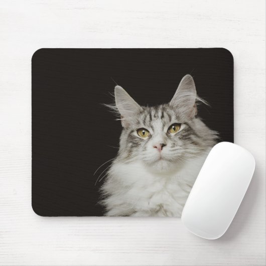 Adult Maine Coon Cat Mousepad (Mit Mouse)