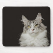 Adult Maine Coon Cat Mousepad (Vorne)