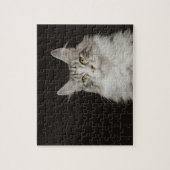 Adult Maine Coon Cat Puzzle (Vertikal)