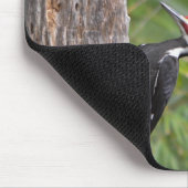 Adult Male Pileated Woodpecker Bird Profile Foto Mousepad (Ecke)