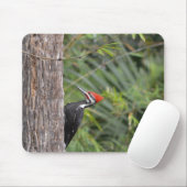 Adult Male Pileated Woodpecker Bird Profile Foto Mousepad (Mit Mouse)